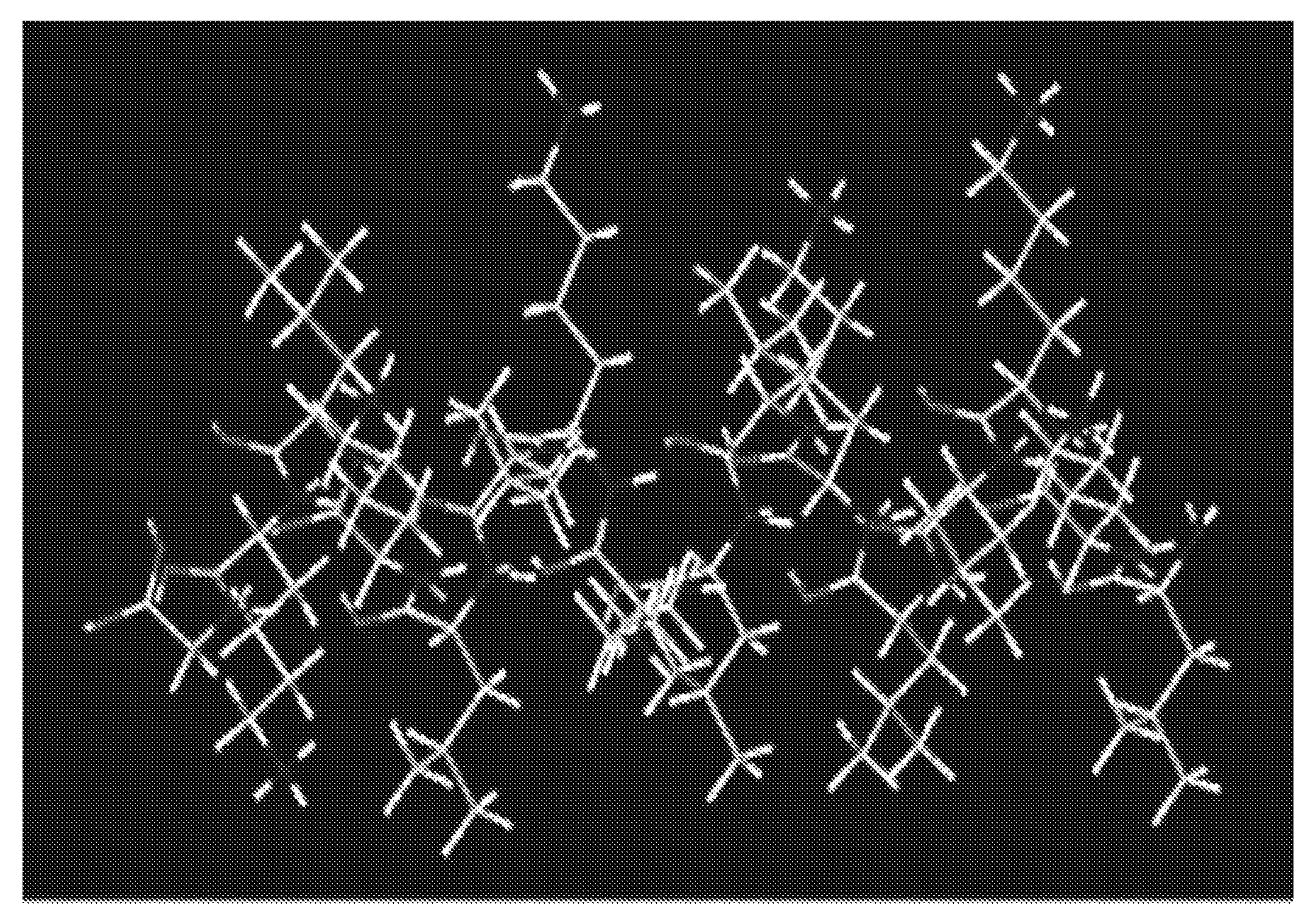 Process for screening of a binding peptide specific for specific RNA and RNA binding peptides therefrom