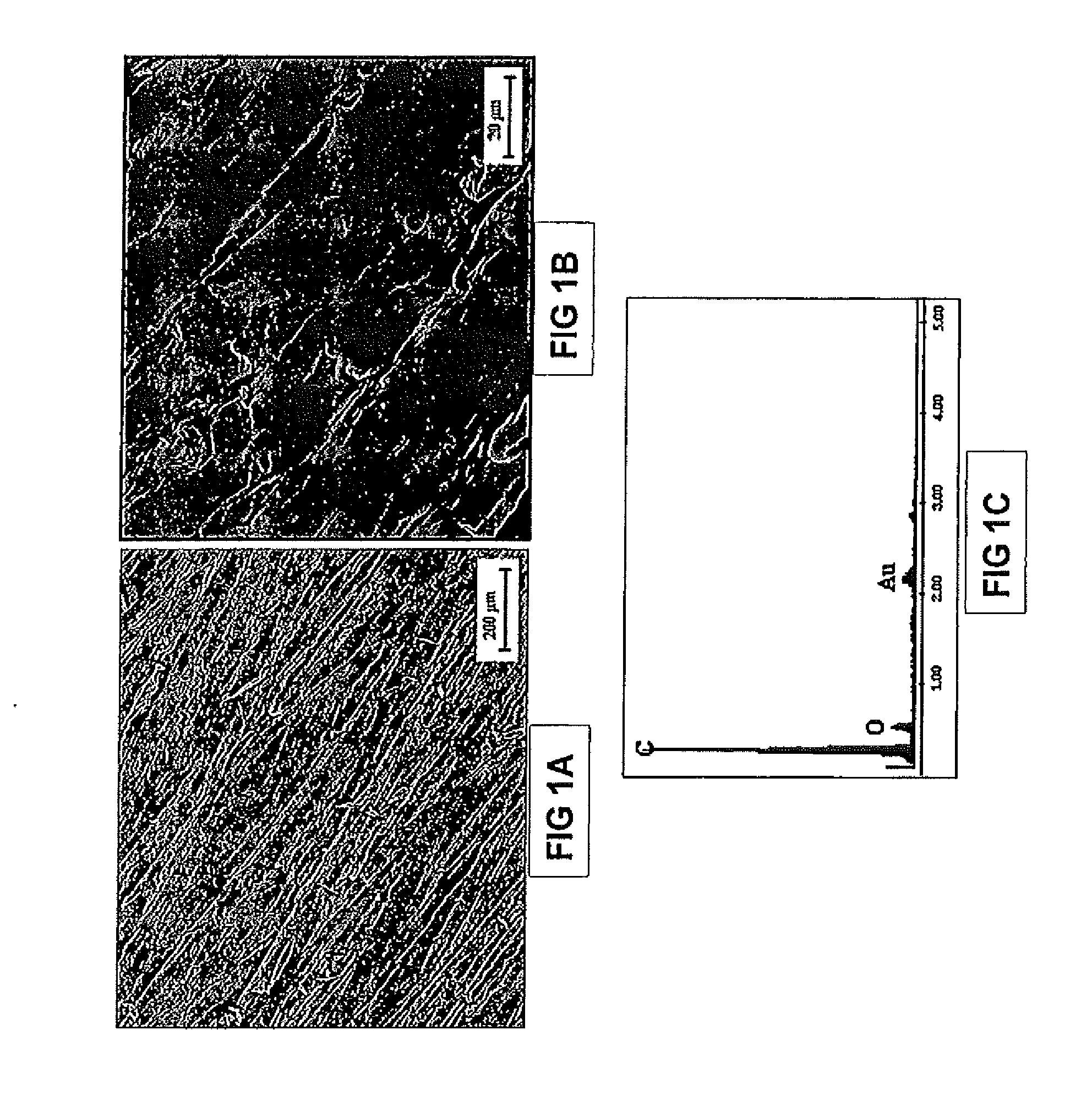 Bioactive Load-Bearing Composites