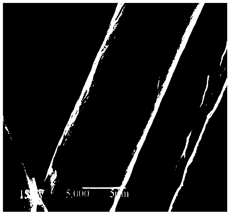 A kind of antibacterial repair function dressing and preparation method thereof