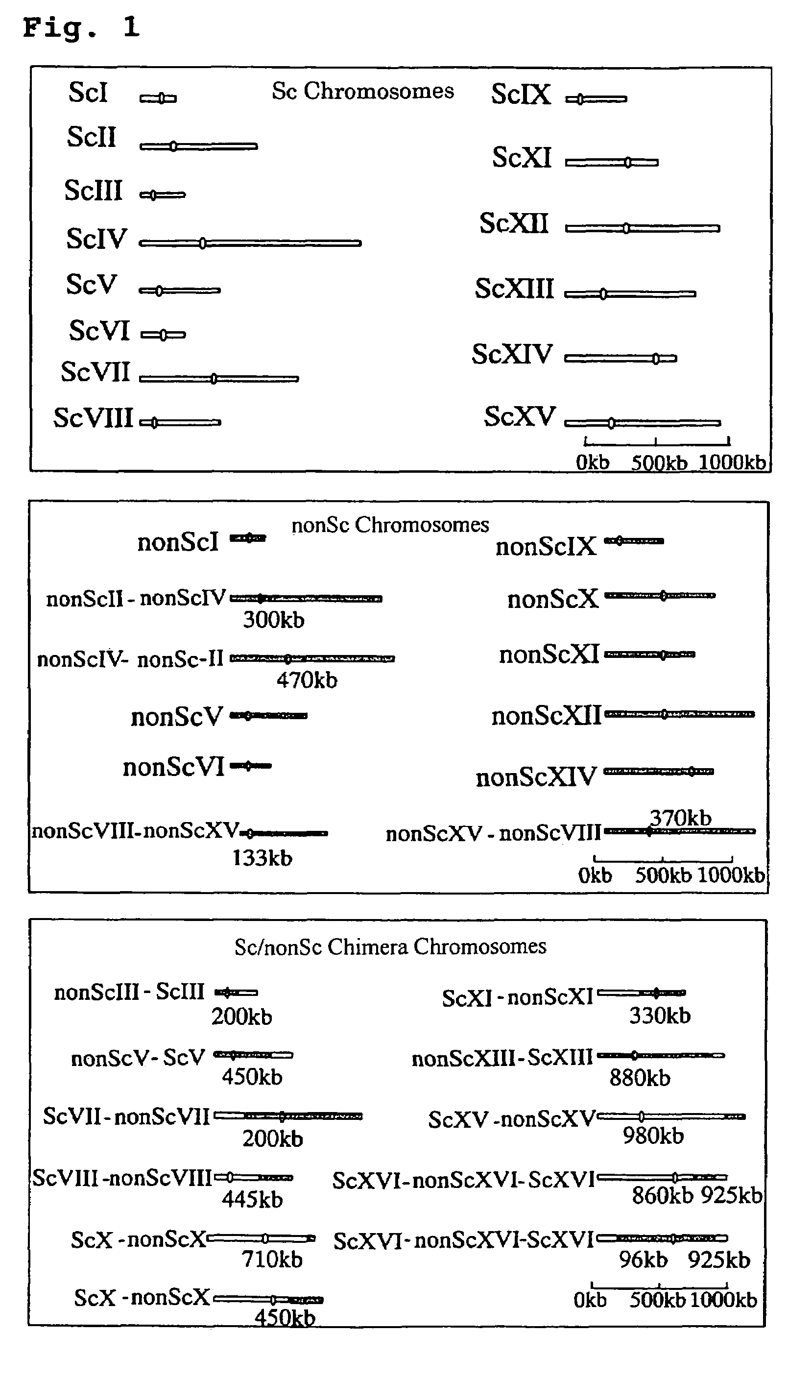 Screening method for genes of brewing yeast