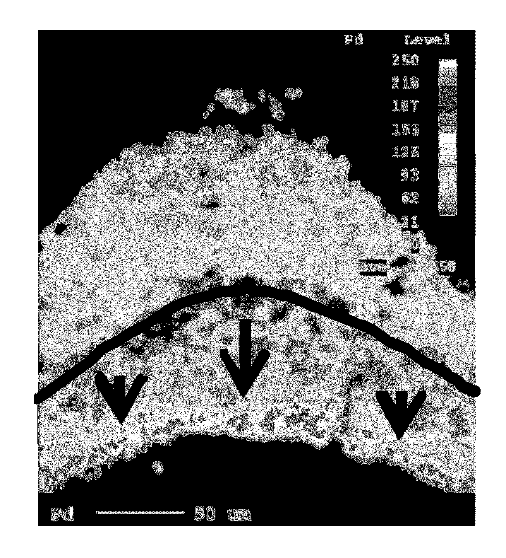 Oxidation catalyst for a combustion engine