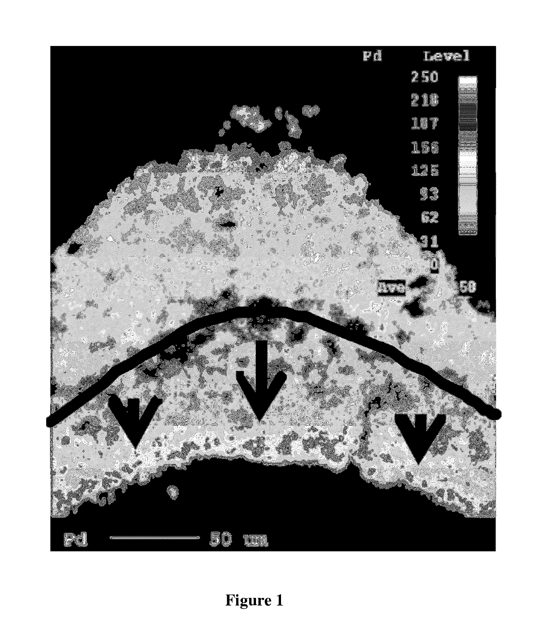 Oxidation catalyst for a combustion engine