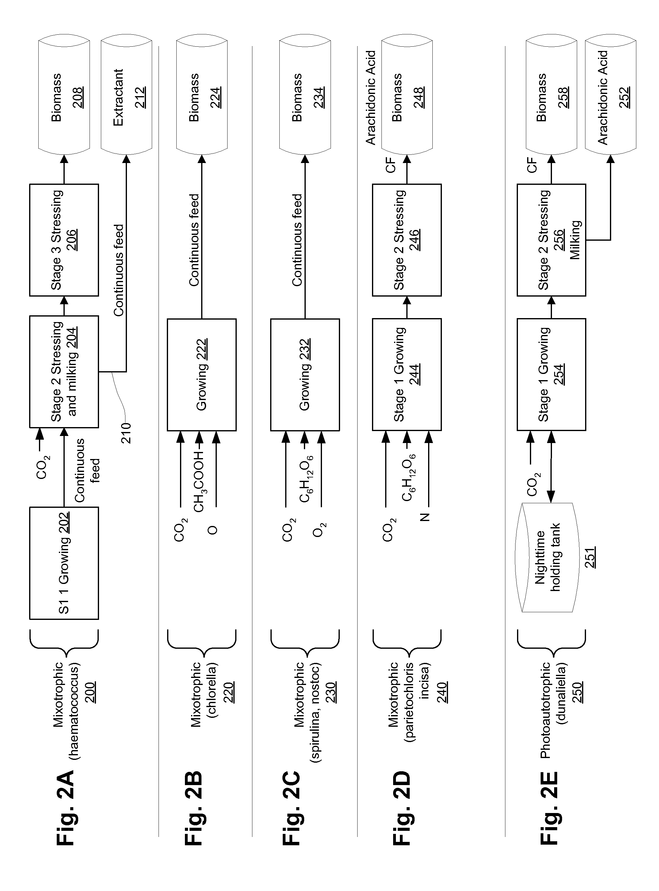 Solar plant employing cultivation of organisms