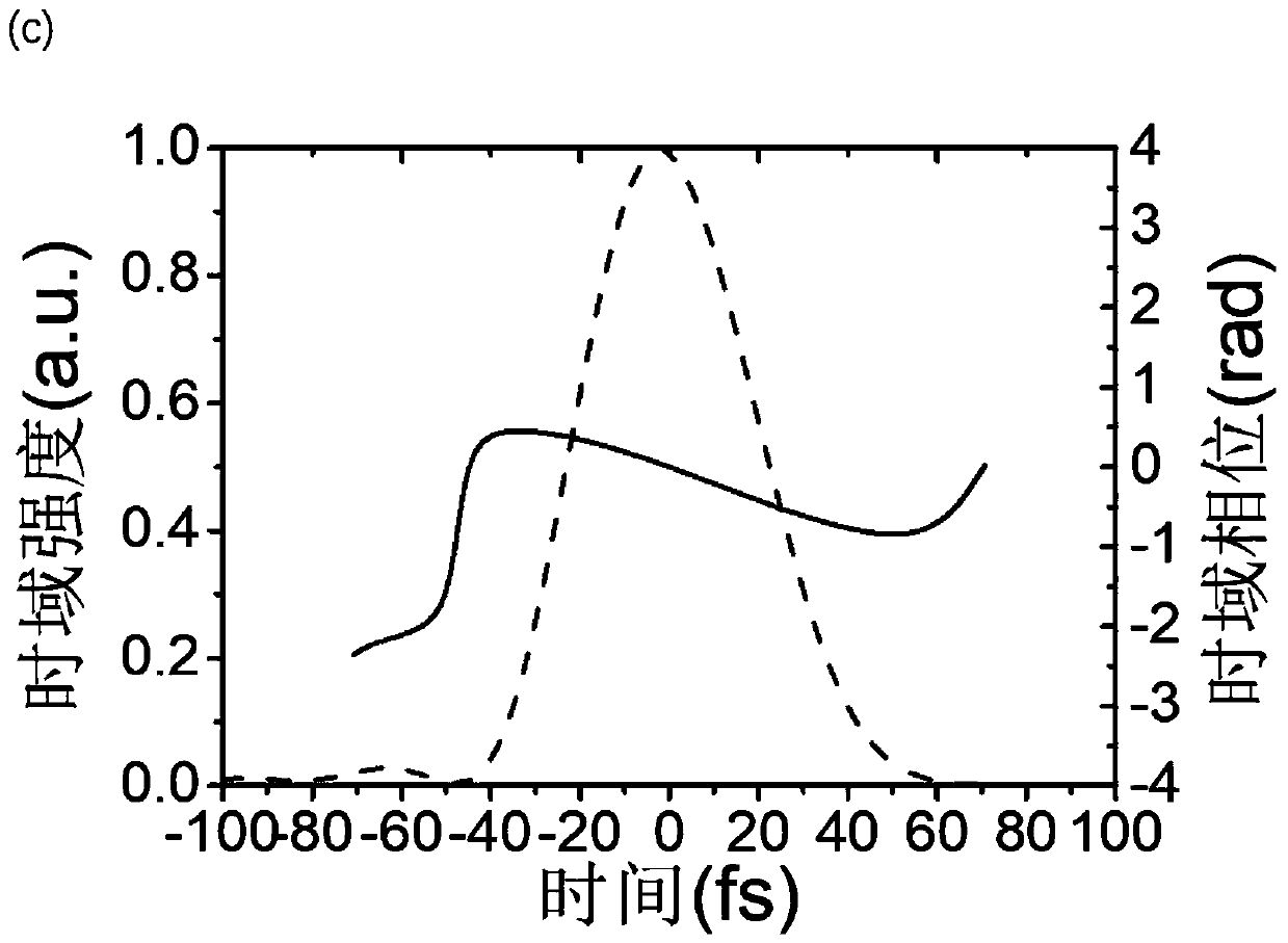 Miniaturized total reflection femtosecond laser pulse shape measurement device