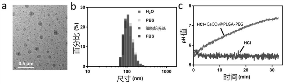 Calcium carbonate based compound micro particles and preparation and application thereof