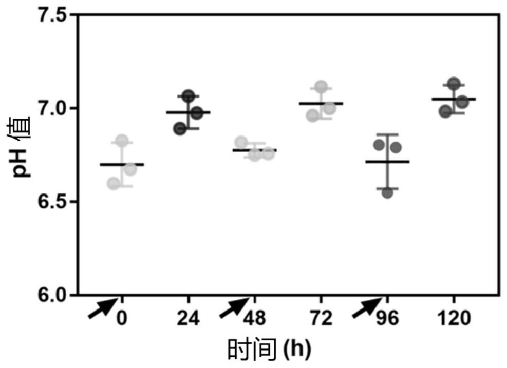 Calcium carbonate based compound micro particles and preparation and application thereof