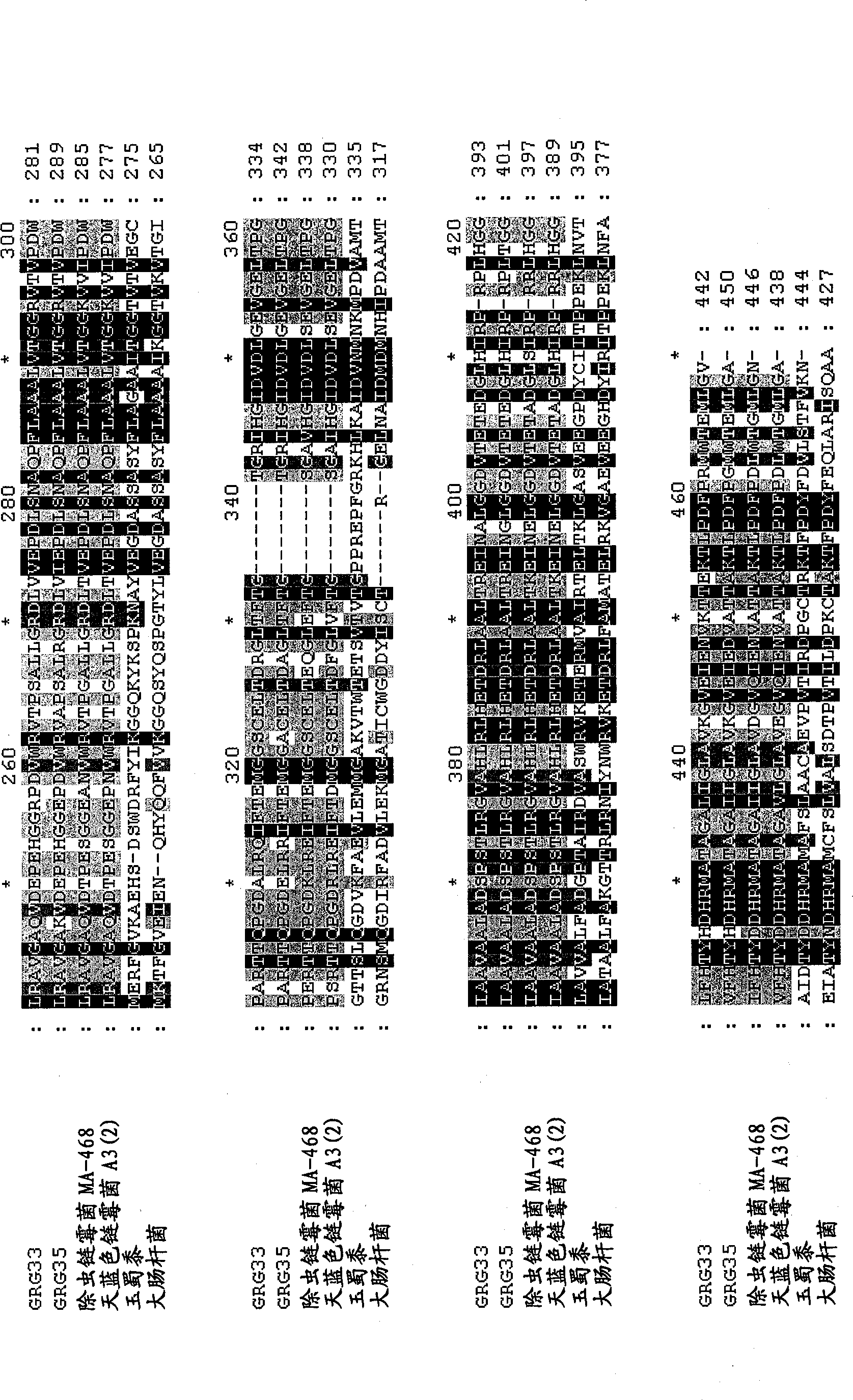 Grg33, grg35, grg36, grg37, grg38, grg39, and grg50: novel epsp synthase genes conferring herbicide resistance