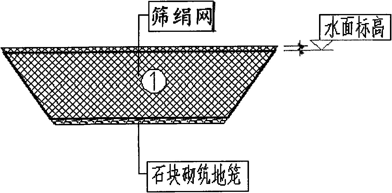 Pool ecological breeding method for coilia nasus by filling river water to accept fries