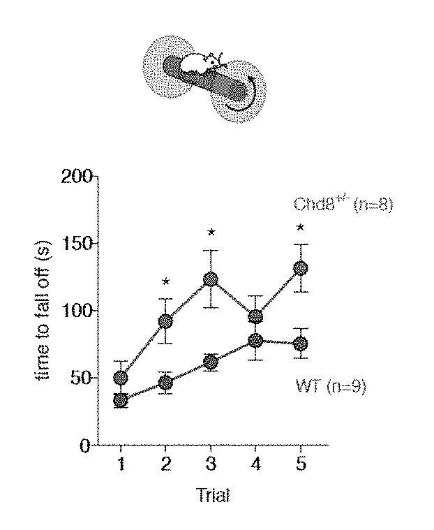 Use and production of chd8+/- transgenic animals with behavioral phenotypes characteristic of autism spectrum disorder