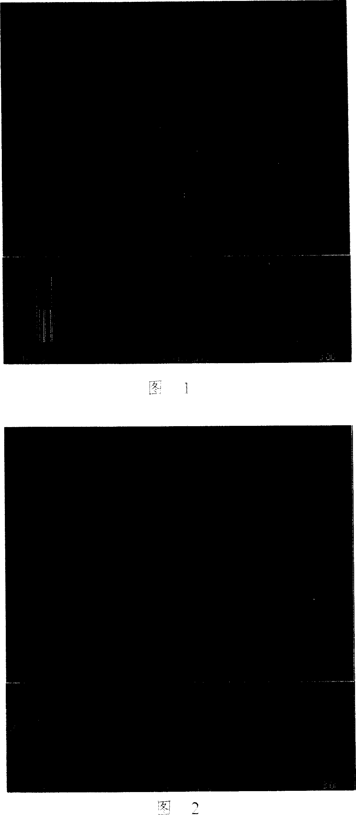 Particle-removing process before semiconductor etching