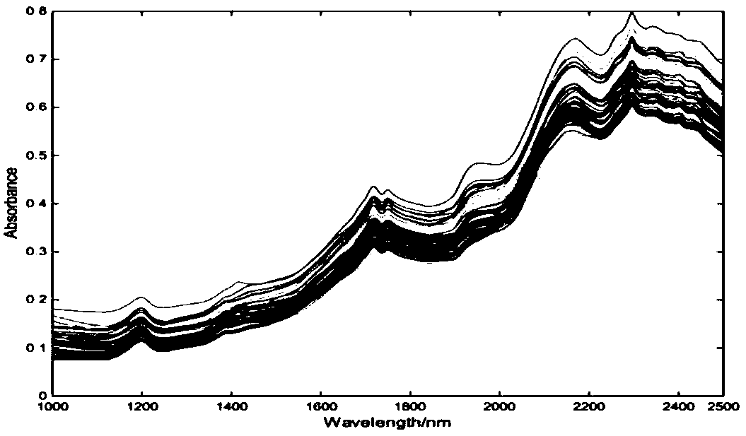 Method for rapidly detecting content of lysine based on near infrared spectroscopy