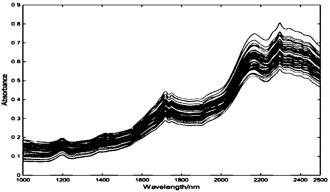 Method for rapidly detecting content of lysine based on near infrared spectroscopy