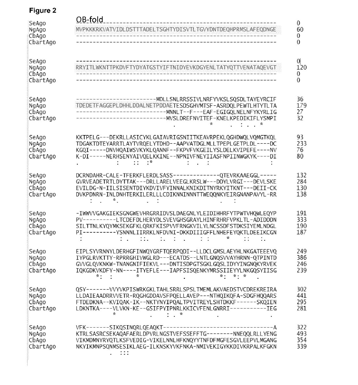 Prokaryotic Argonaute Proteins and Uses Thereof