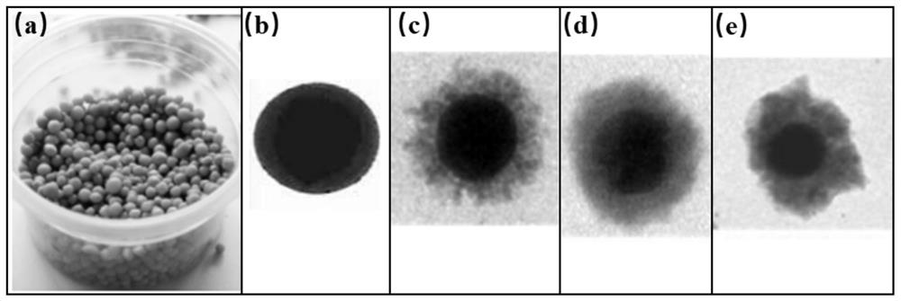 A stabilizer for repairing heavy metal chromium pollution and its preparation method and application