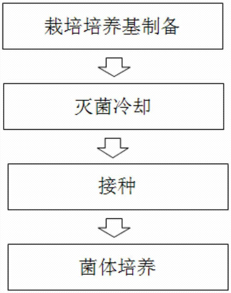 Method for cultivating edible/medicinal fungi by utilizing Juncao