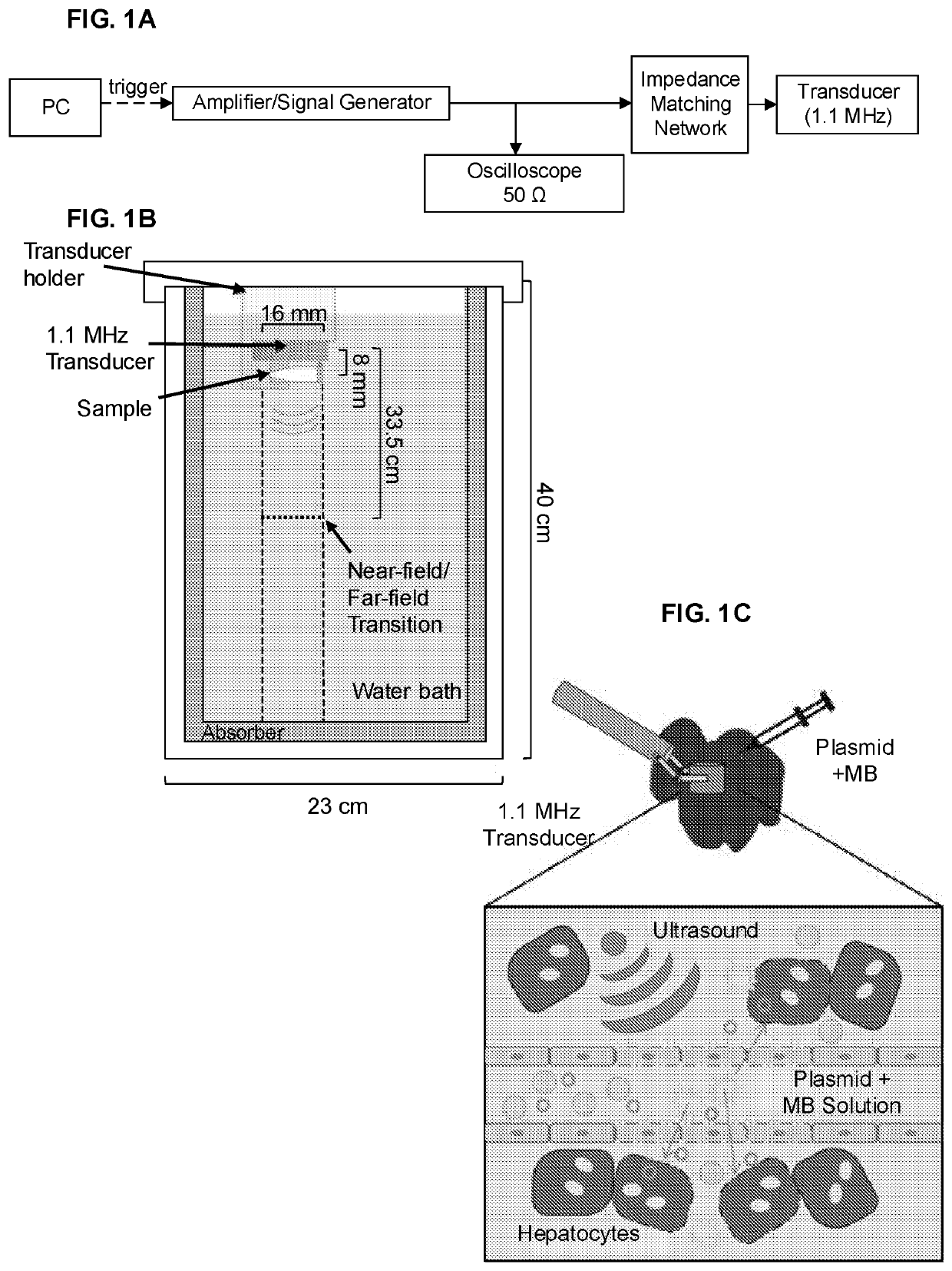 Ultrasound-mediated gene and drug delivery