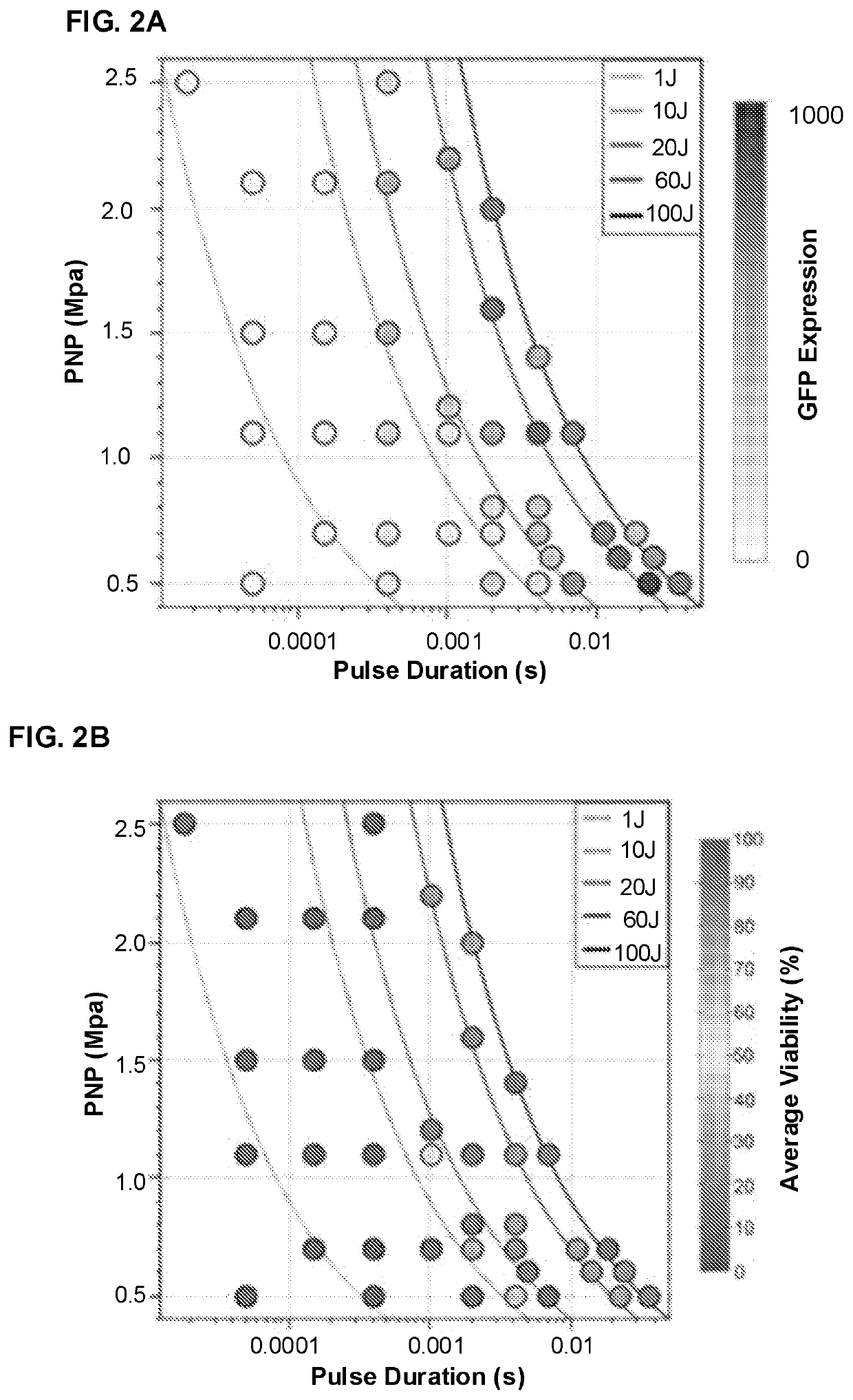 Ultrasound-mediated gene and drug delivery