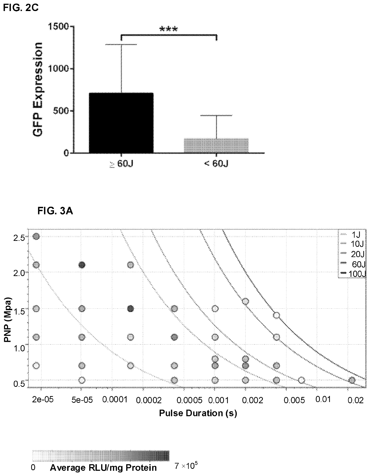 Ultrasound-mediated gene and drug delivery