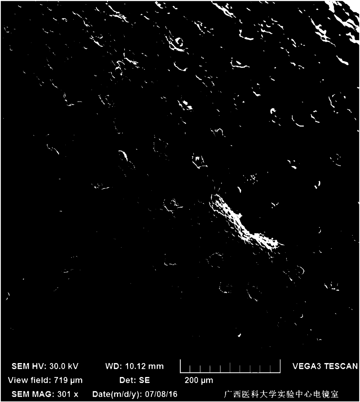 A kind of preparation method of Panda Hai scanning electron microscope sample