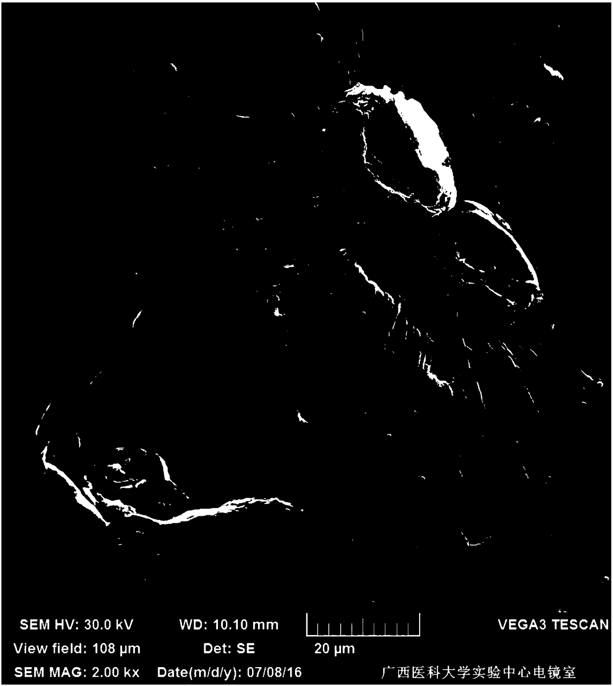 A kind of preparation method of Panda Hai scanning electron microscope sample