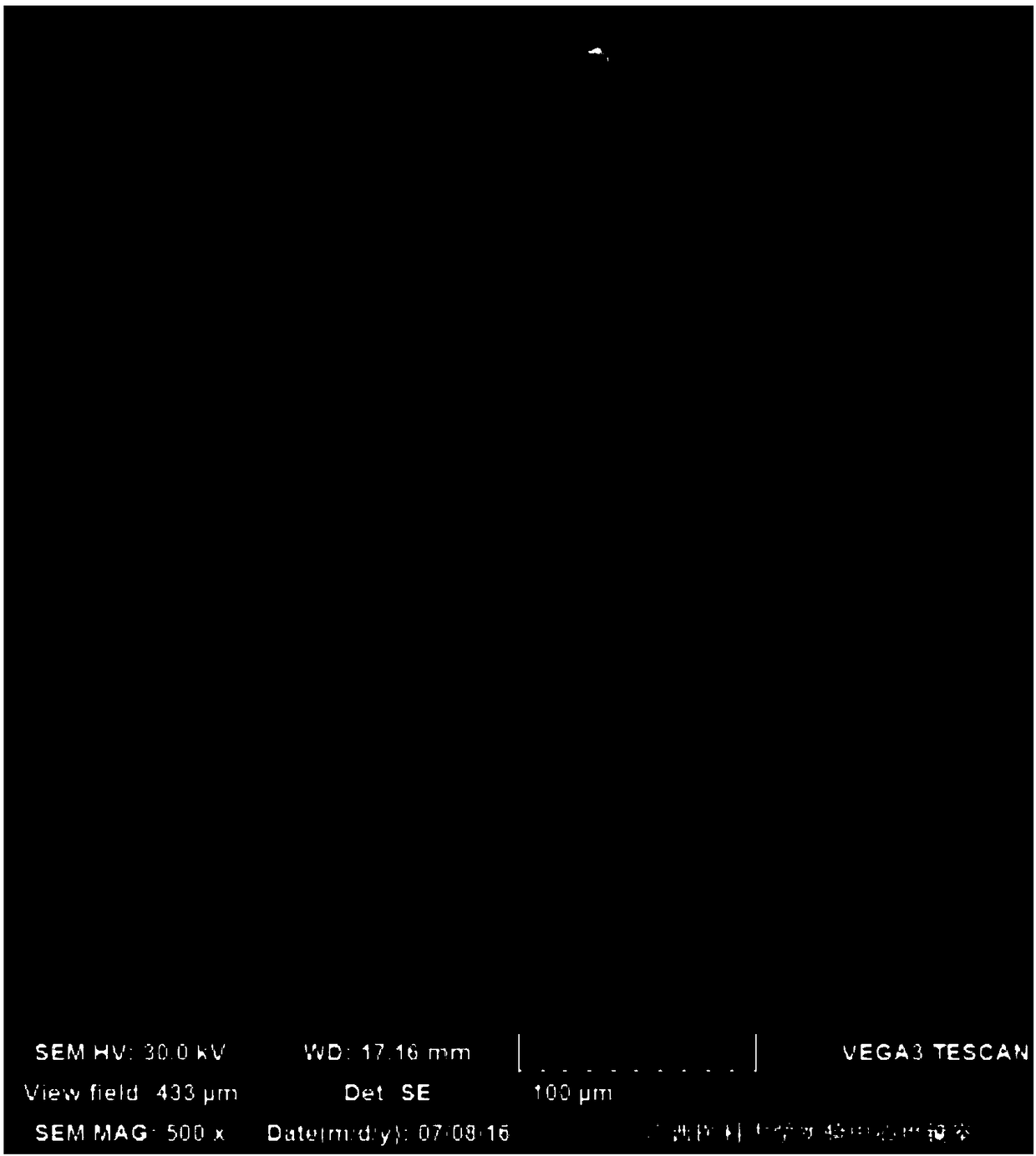 A kind of preparation method of Panda Hai scanning electron microscope sample