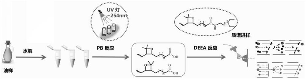 A kit for precise structure identification of unsaturated fatty acids in oil