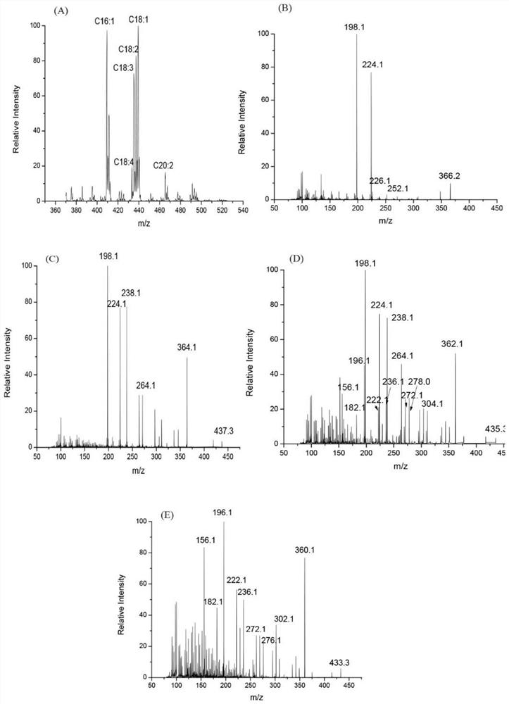 A kit for precise structure identification of unsaturated fatty acids in oil