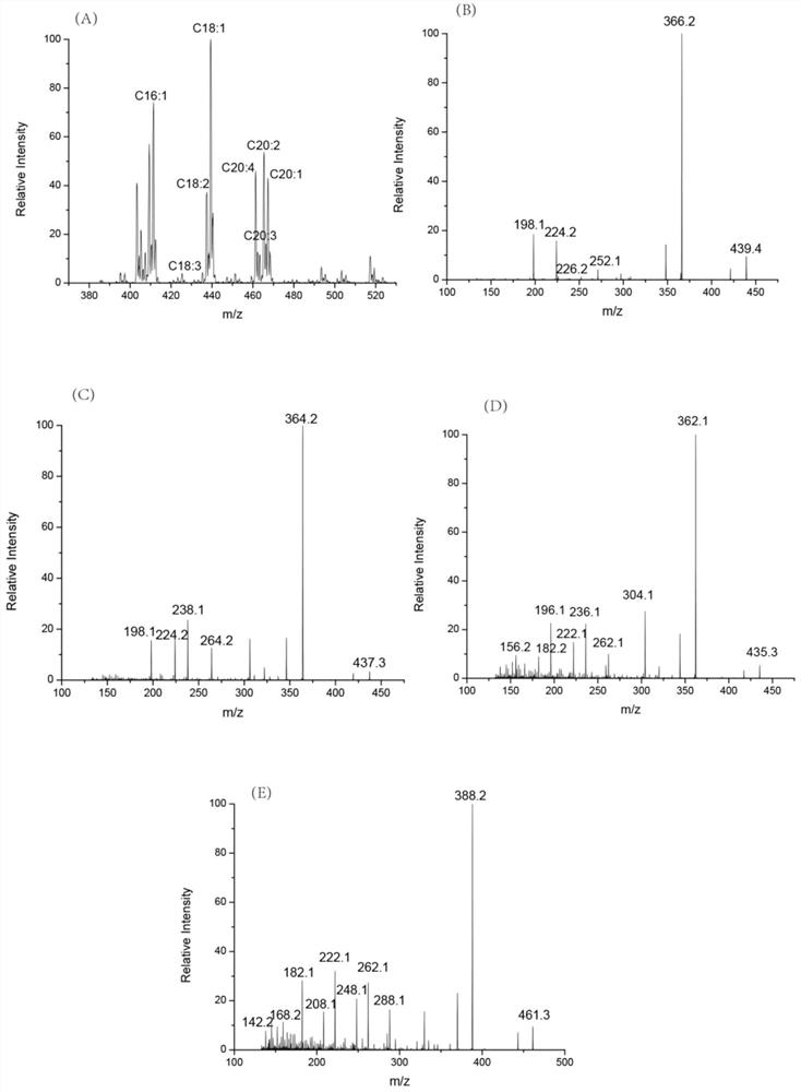 A kit for precise structure identification of unsaturated fatty acids in oil