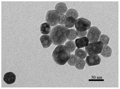 A kind of water-soluble rare earth doped nanocrystal and its preparation method and application