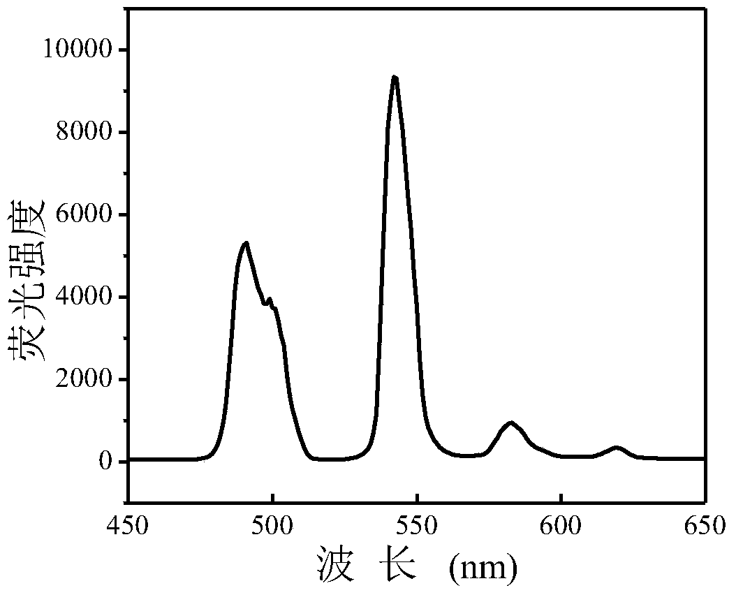 A kind of water-soluble rare earth doped nanocrystal and its preparation method and application