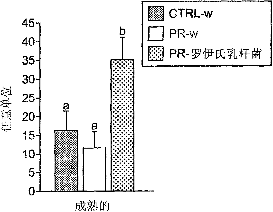 Lactobacillus reuteri DSM 17938 for the development of cognitive function