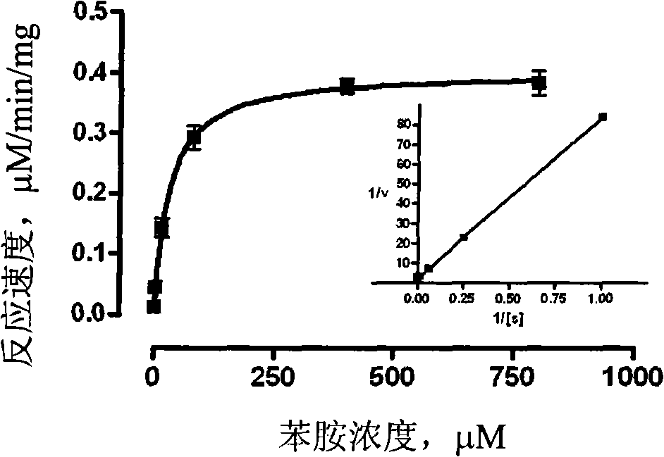 Use of tiopronin in preparing medicament for treating liver function damage induced by cerebral ischemia, diabetes and obesity