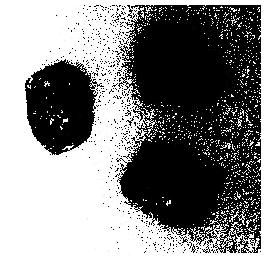 Preparation method of benzotrifuroxan (BTF) and trinitrotoluene (TNT) cocrystallized explosive