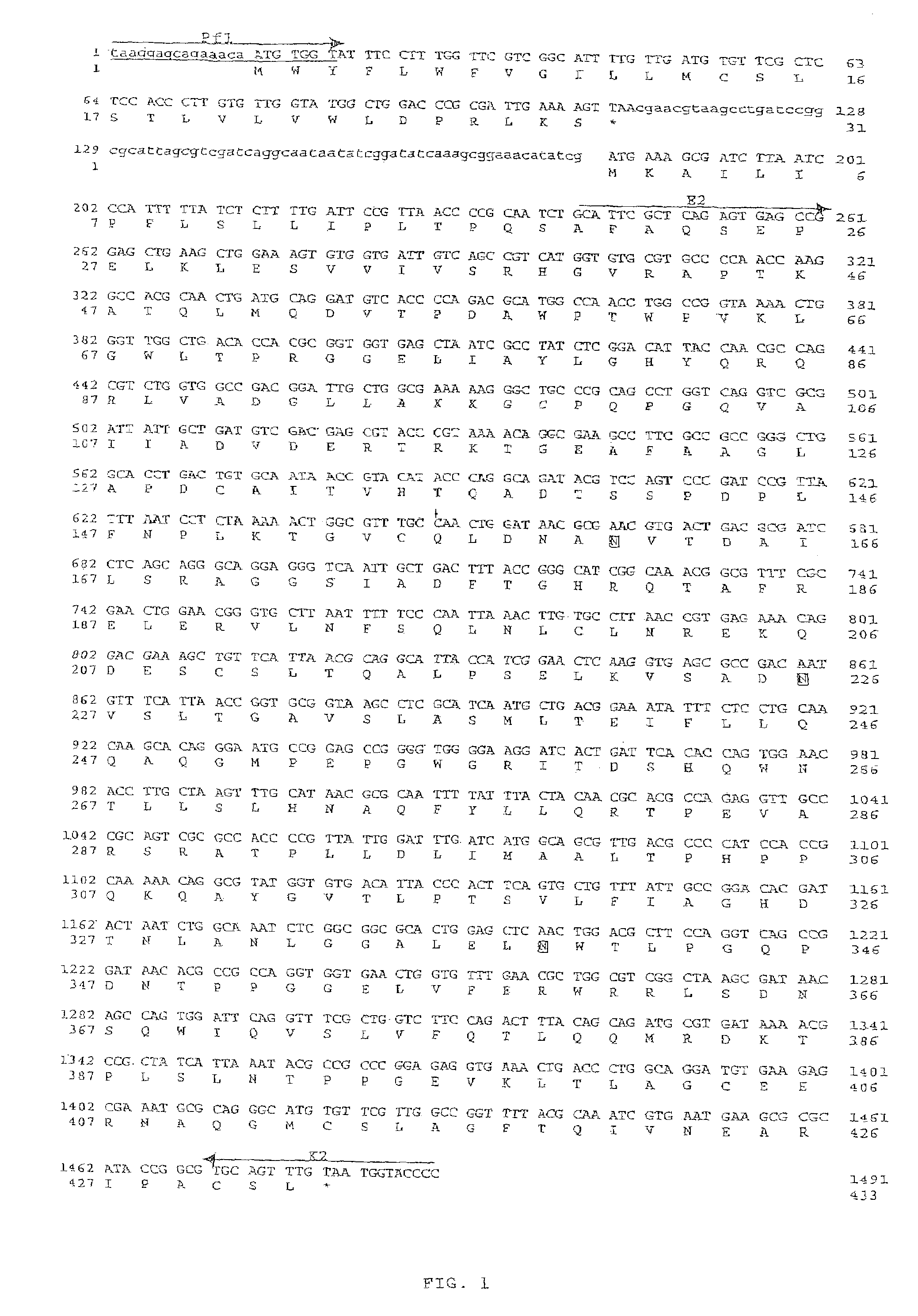 Phytase-containing animal food and method