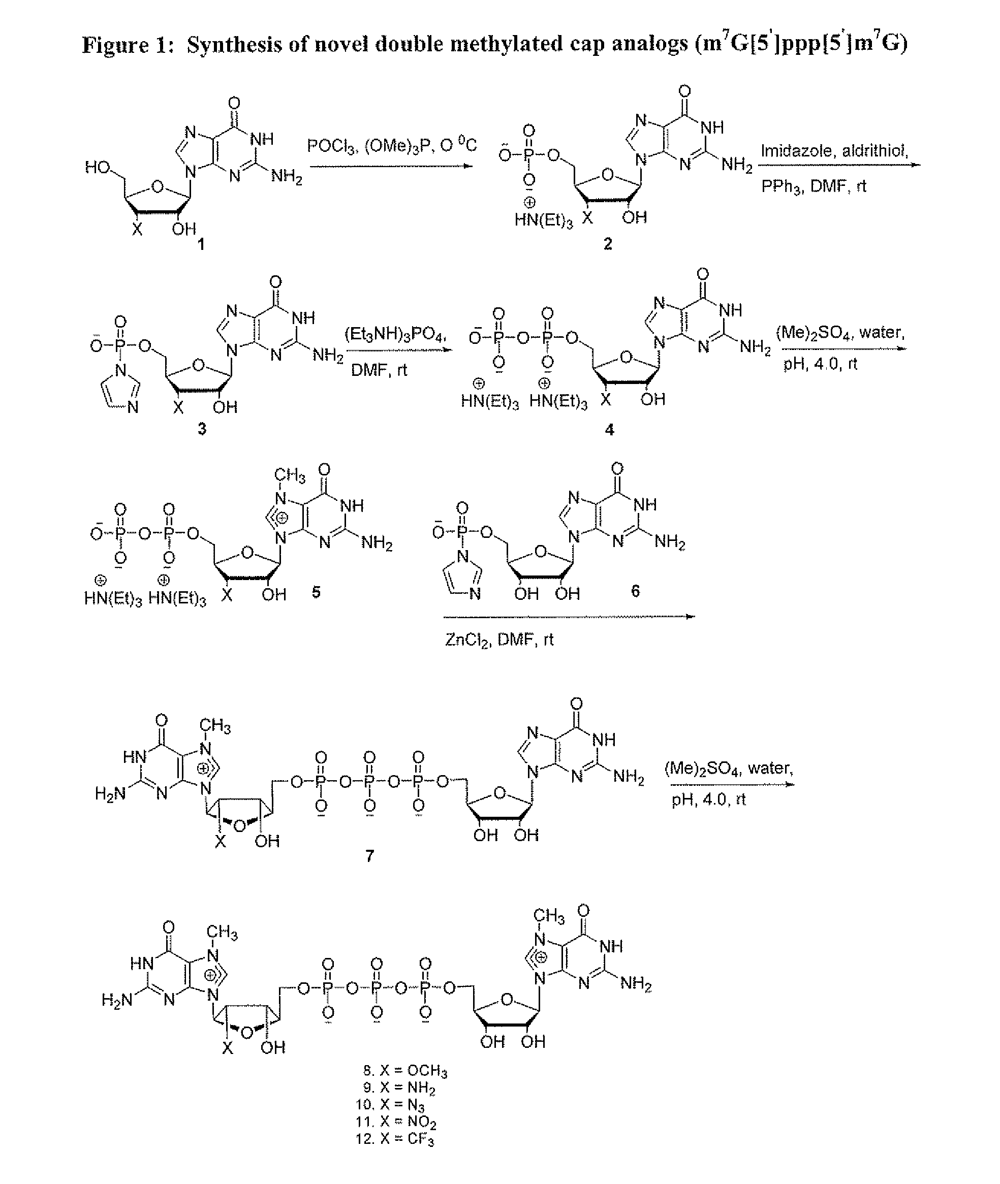 Dinucleotide MRNA CAP Analogs