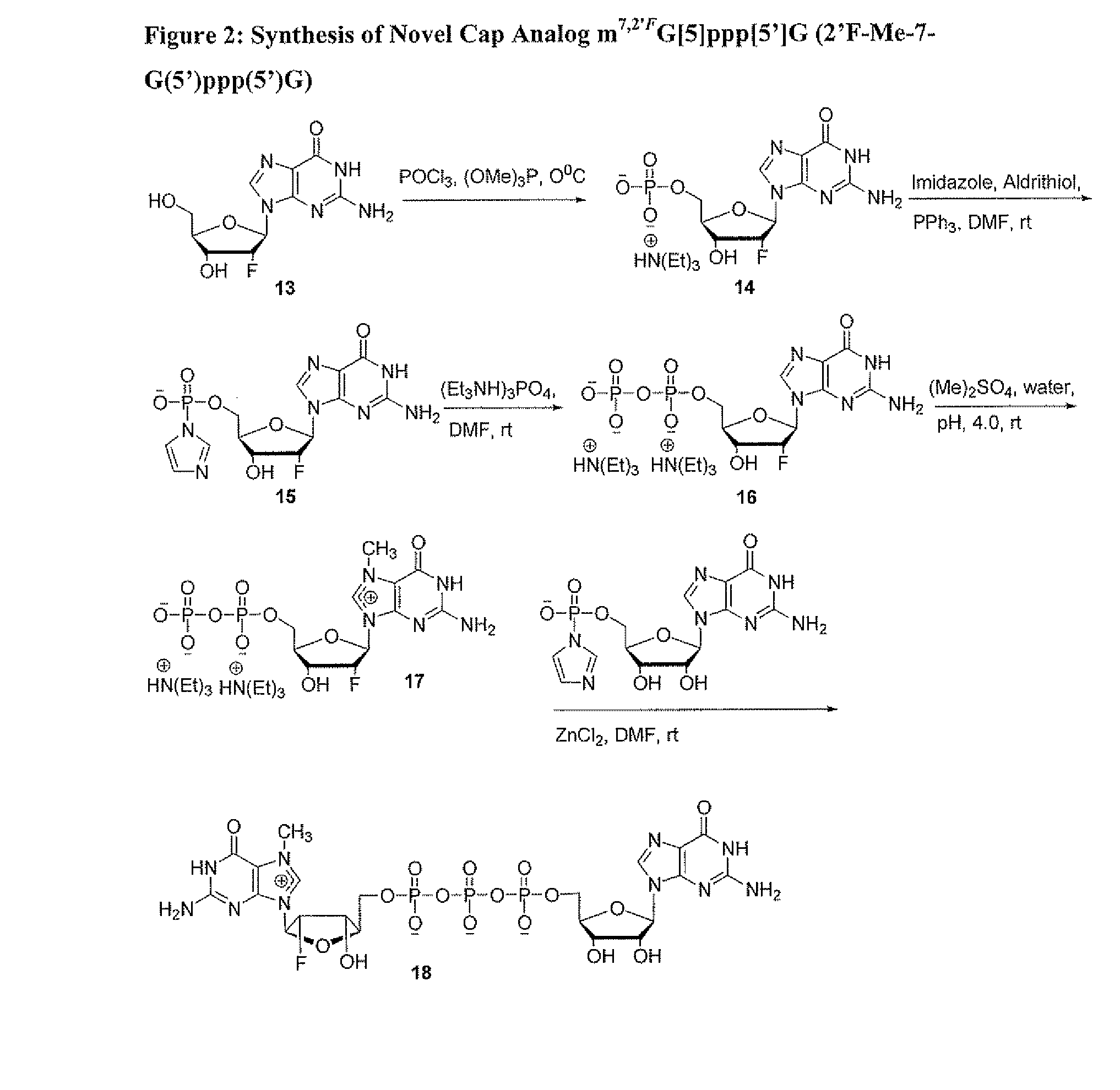 Dinucleotide MRNA CAP Analogs