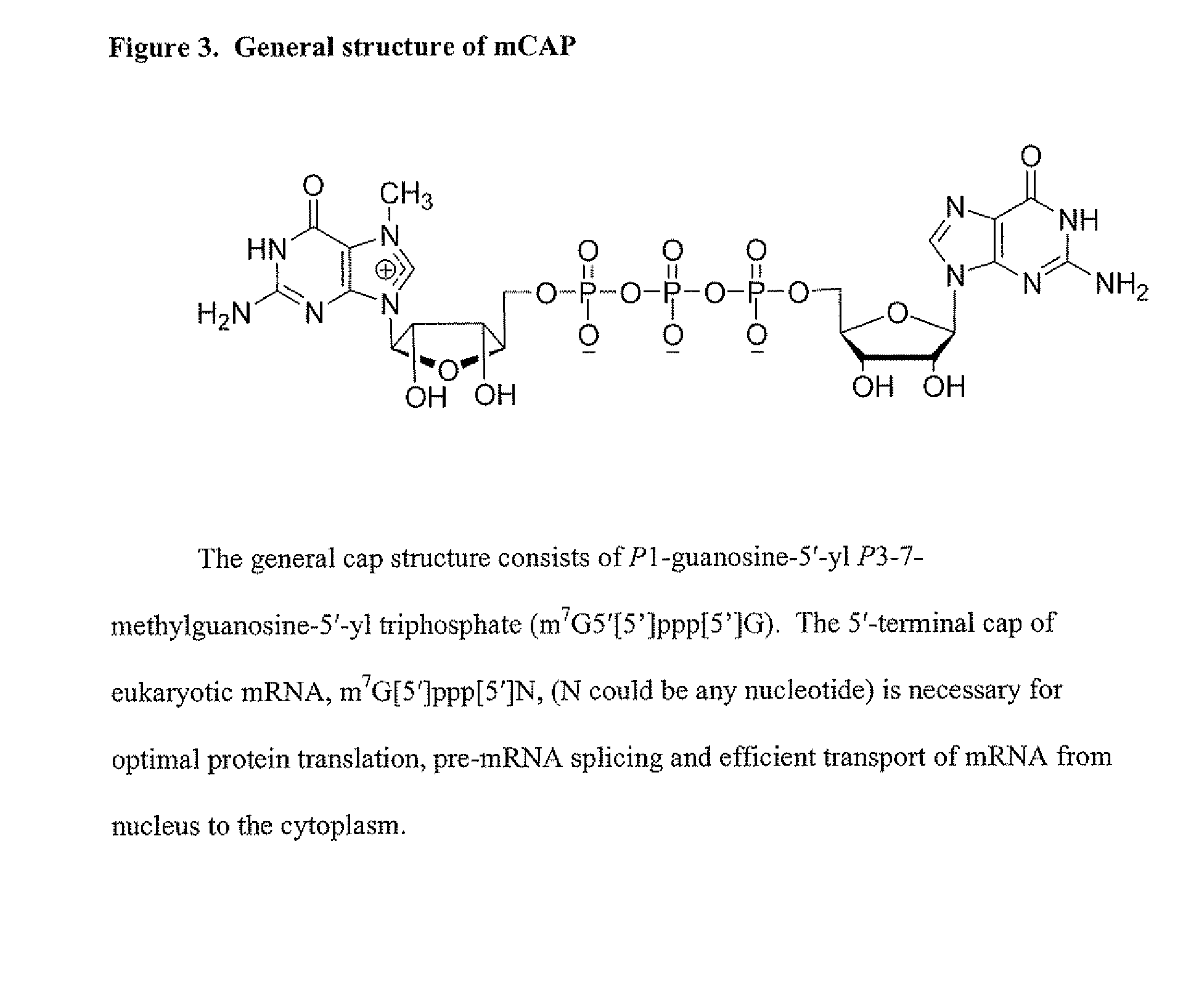 Dinucleotide MRNA CAP Analogs