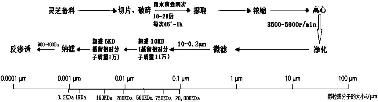 Method for one-time quickly separating active polysaccharide peptide and triterpene acid of lucid ganoderma