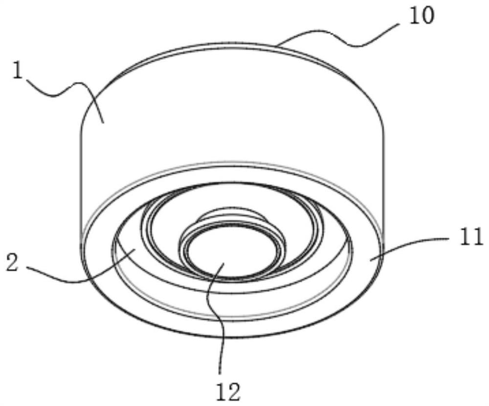 Device for placing burning needle of milli-fire needle