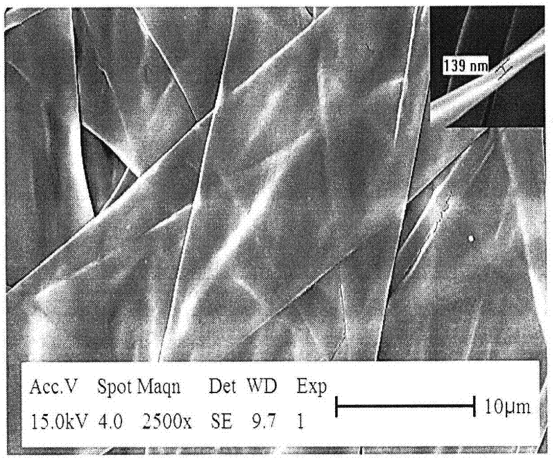 Preparation method of ferroferric oxide (Fe3O4) nanobelt in network structure