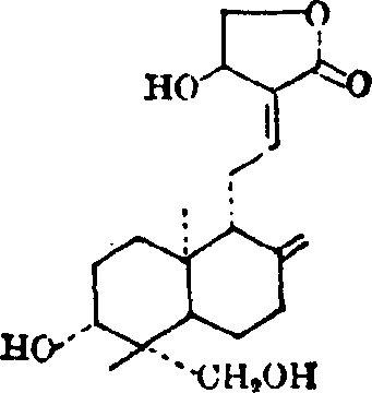 Andrographolide soft capsule and preparing method thereof