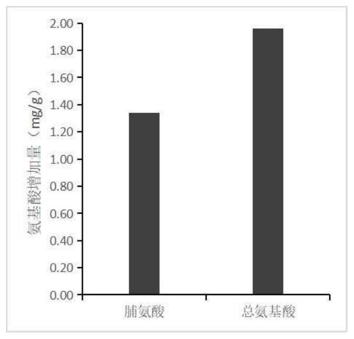 Tobacco NtMLO6-1 gene and knockout method and application thereof