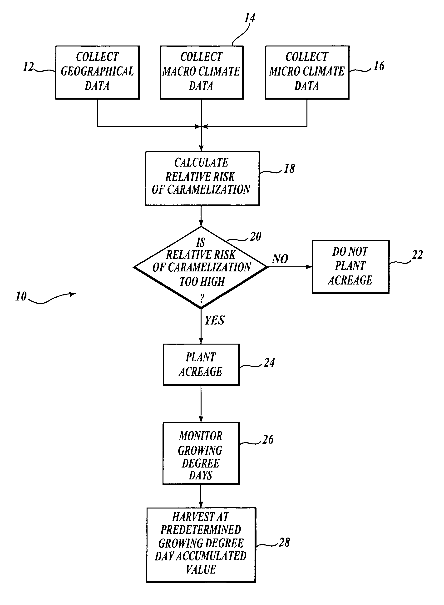 Agronomic method for commercial production of the green Cicer bean