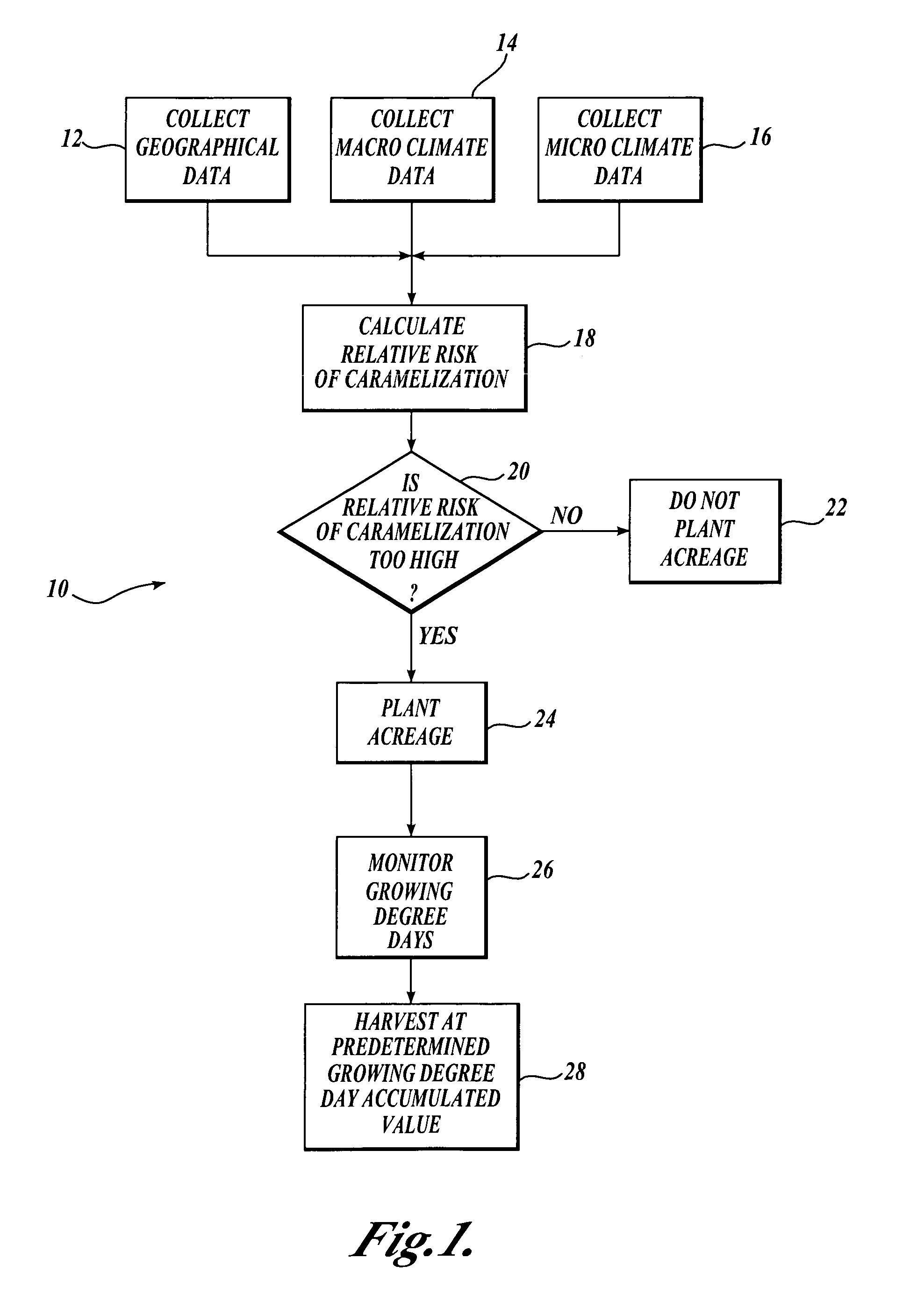 Agronomic method for commercial production of the green Cicer bean