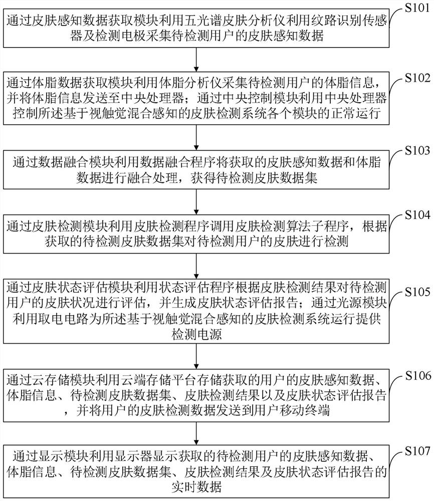 Skin detection system based on visual and tactile mixed perception and detection method thereof