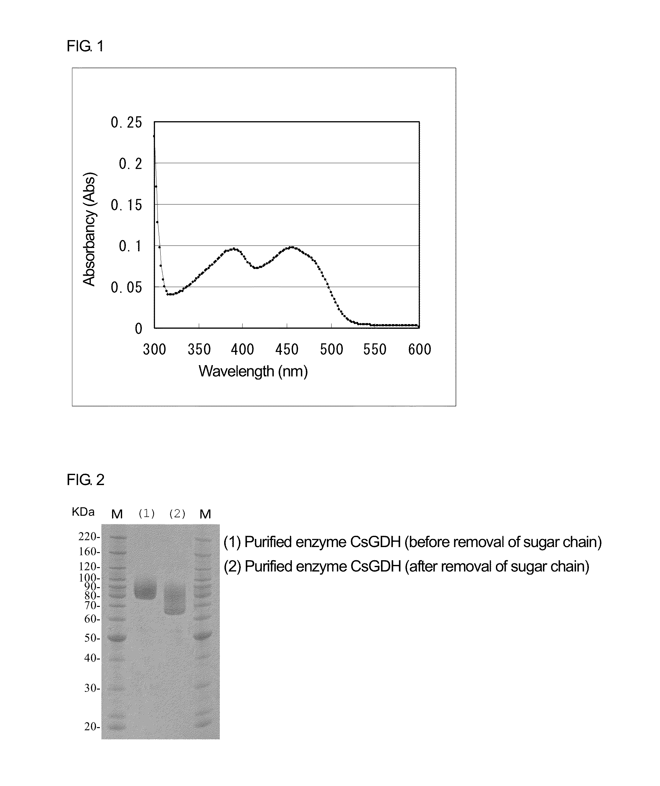 Novel glucose dehydrogenase