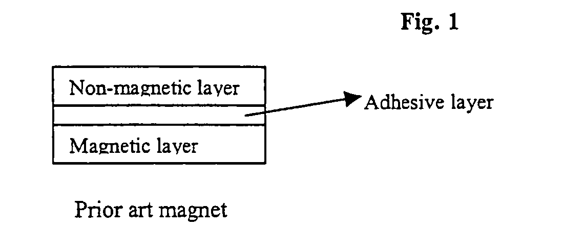 UV/EB cured integrated magnets-composition and method of fabrication