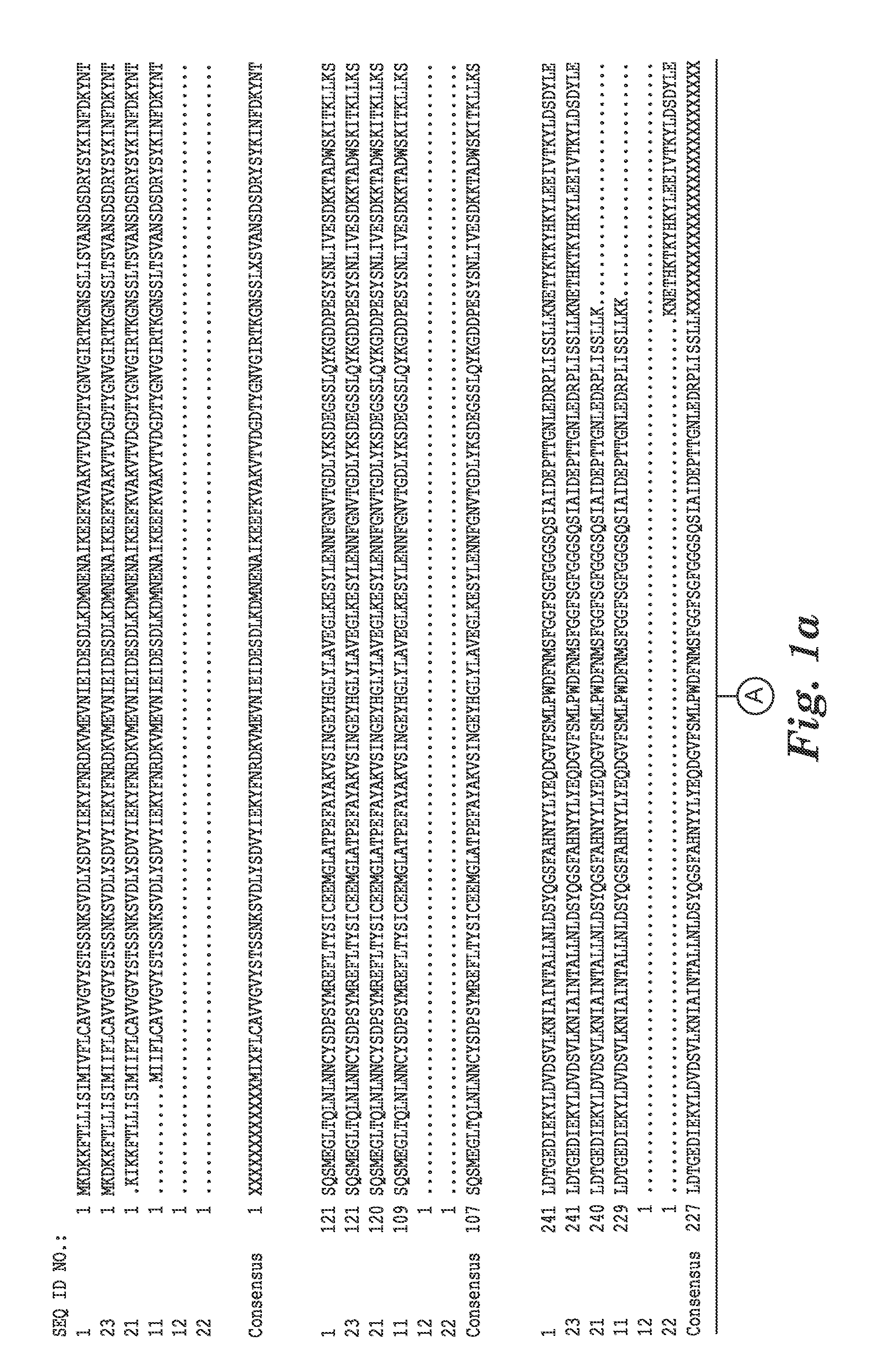 Antibodies to clostridium difficile spores and uses thereof