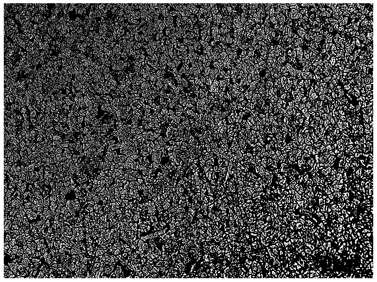 Weathering steel hot-rolled thin belt without P segregation and manufacturing method thereof