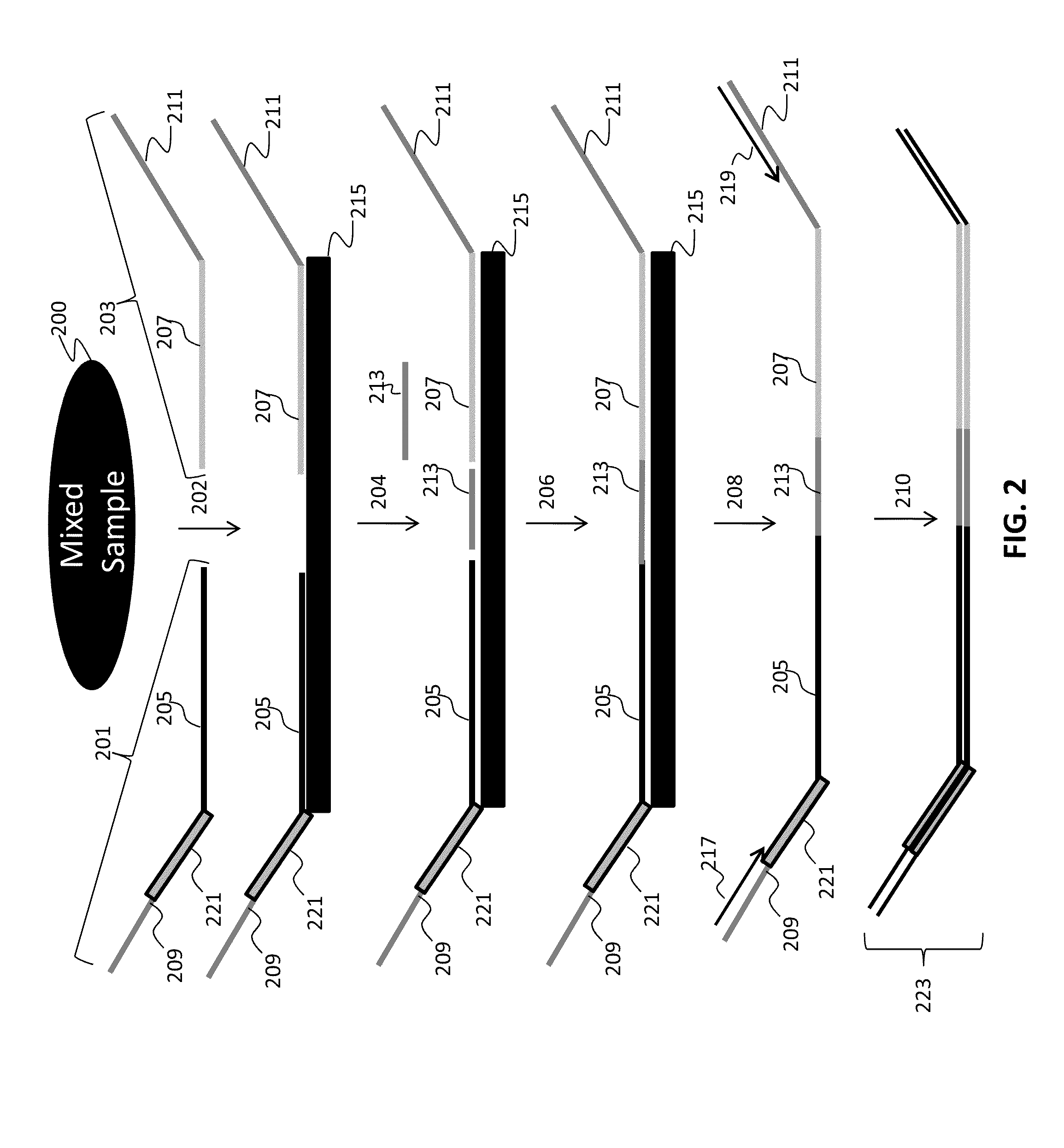 Assay systems for genetic analysis